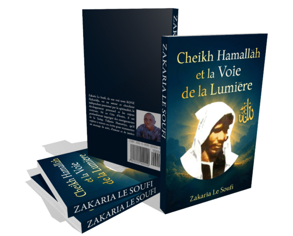 Cheikh Hamallah et la Voie de la Lumière – Image 2